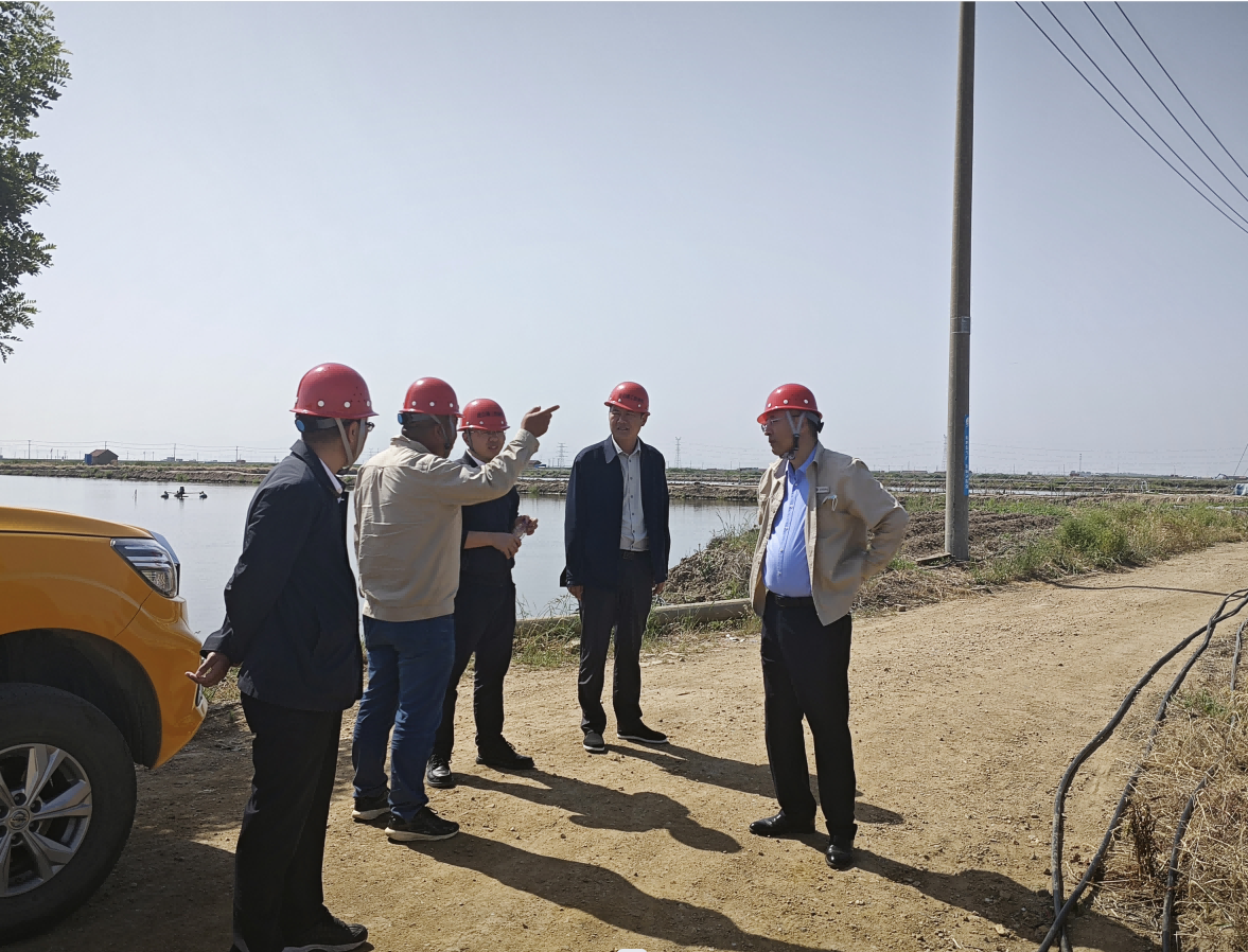 1684908941696090223.png 1684909340271(1).png