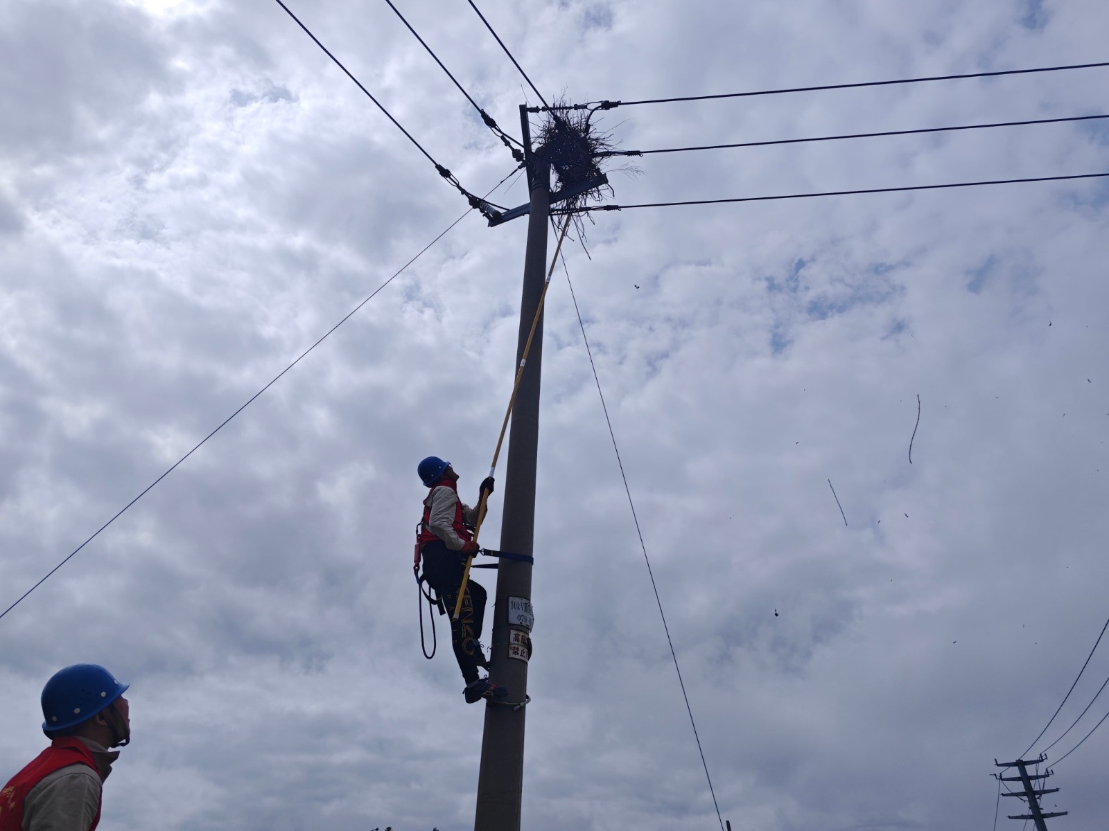 1714526936539051158.jpg 2.jpg