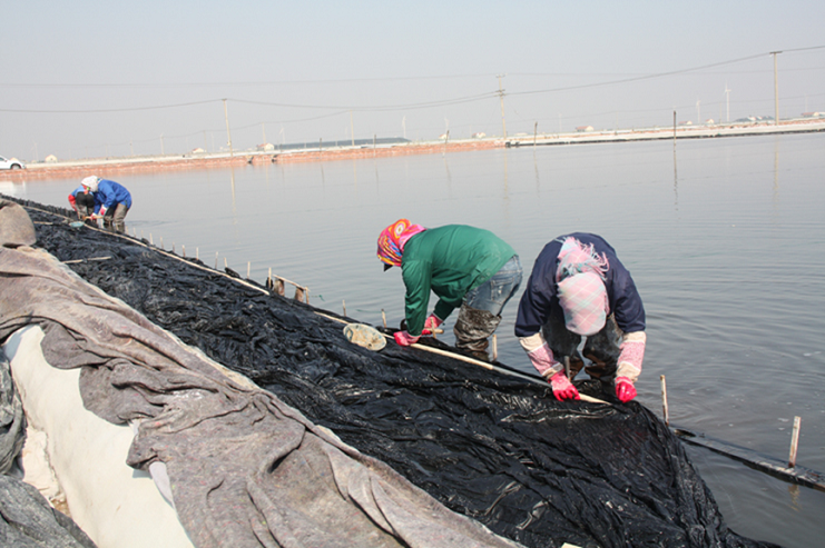 鹽灘的女人3.png 鹽灘的女人3.png